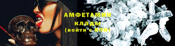 амф Богданович