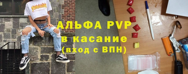 амф Богданович