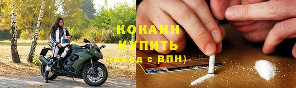 амф Богданович