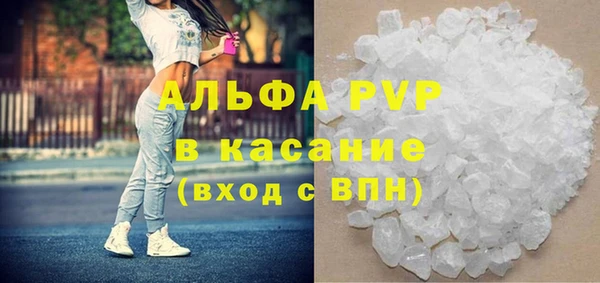 амф Богданович
