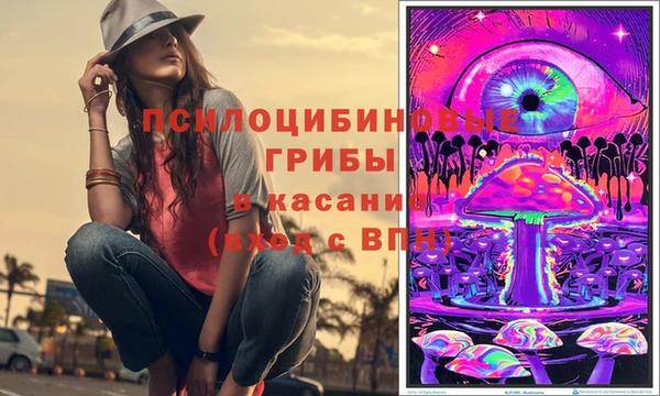 амф Богданович